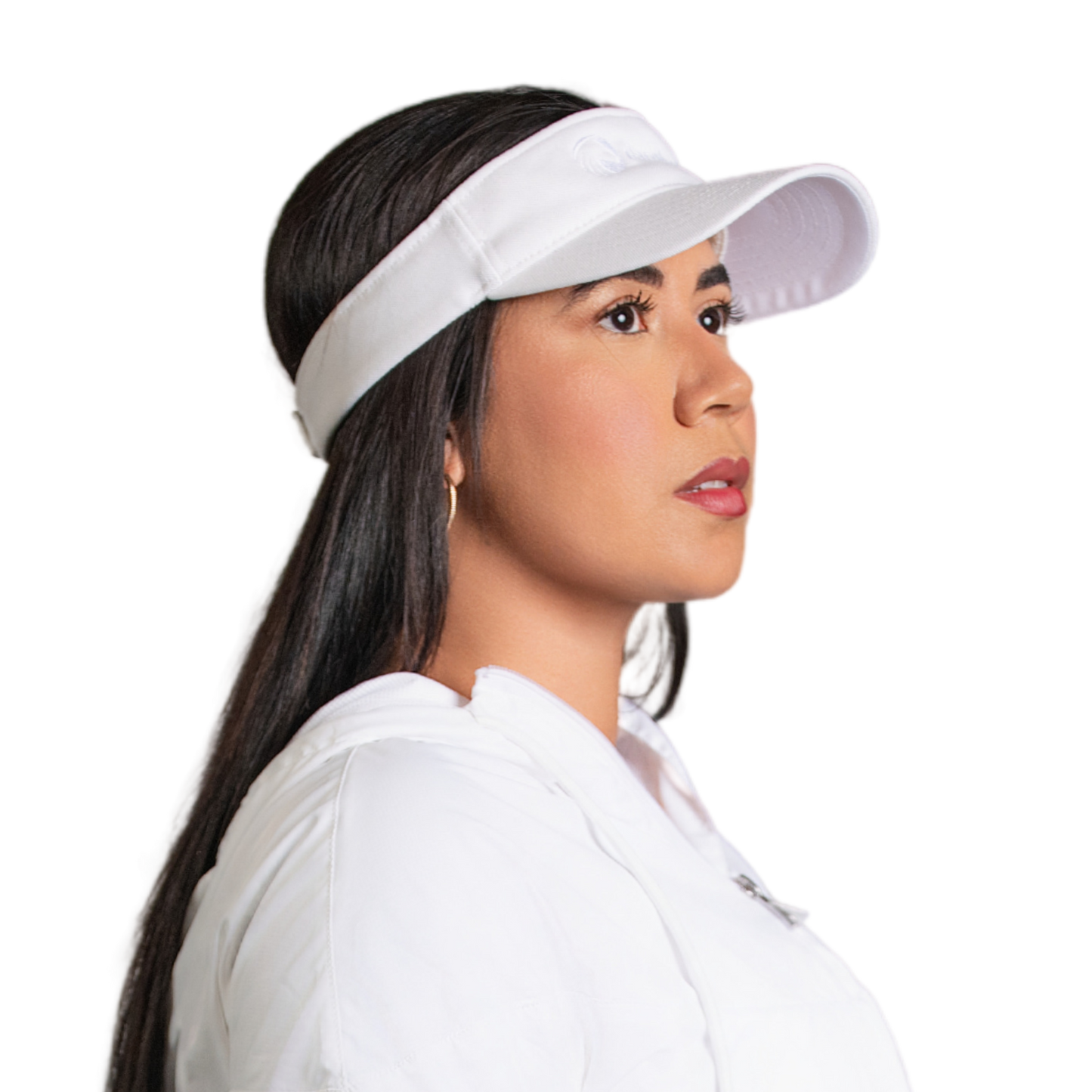 DH Visor